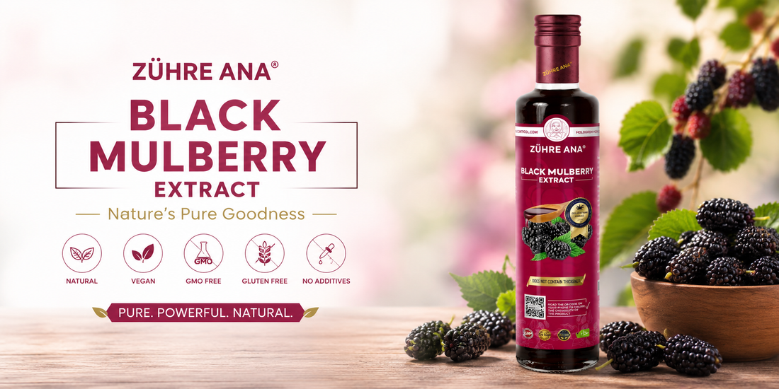 Black Mulberry Extract: Why This Antioxidant-Rich Superfruit Is Returning to Modern Wellness